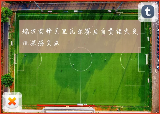 瑞典前锋贝里瓦尔赛后自责错失良机深感负疚
