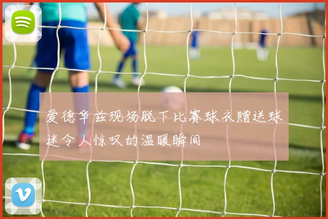 爱德华兹现场脱下比赛球衣赠送球迷令人惊叹的温暖瞬间
