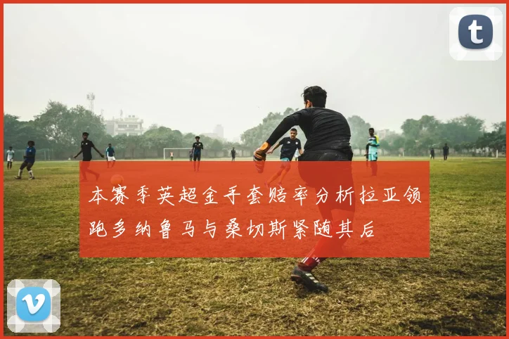 本赛季英超金手套赔率分析拉亚领跑多纳鲁马与桑切斯紧随其后