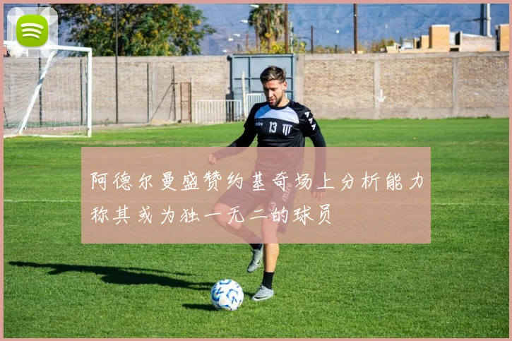 阿德尔曼盛赞约基奇场上分析能力称其或为独一无二的球员