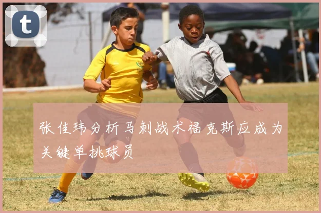 张佳玮分析马刺战术福克斯应成为关键单挑球员