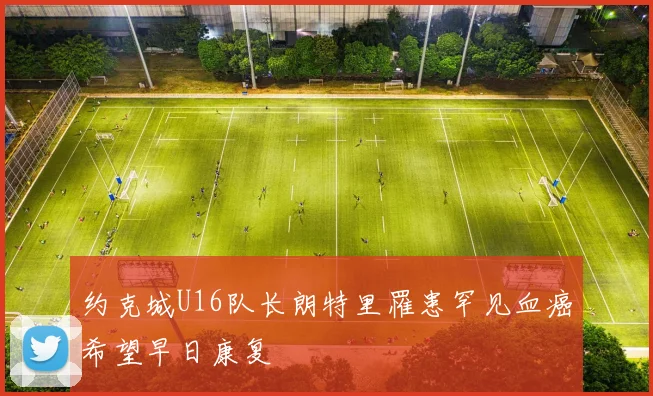 约克城U16队长朗特里罹患罕见血癌希望早日康复